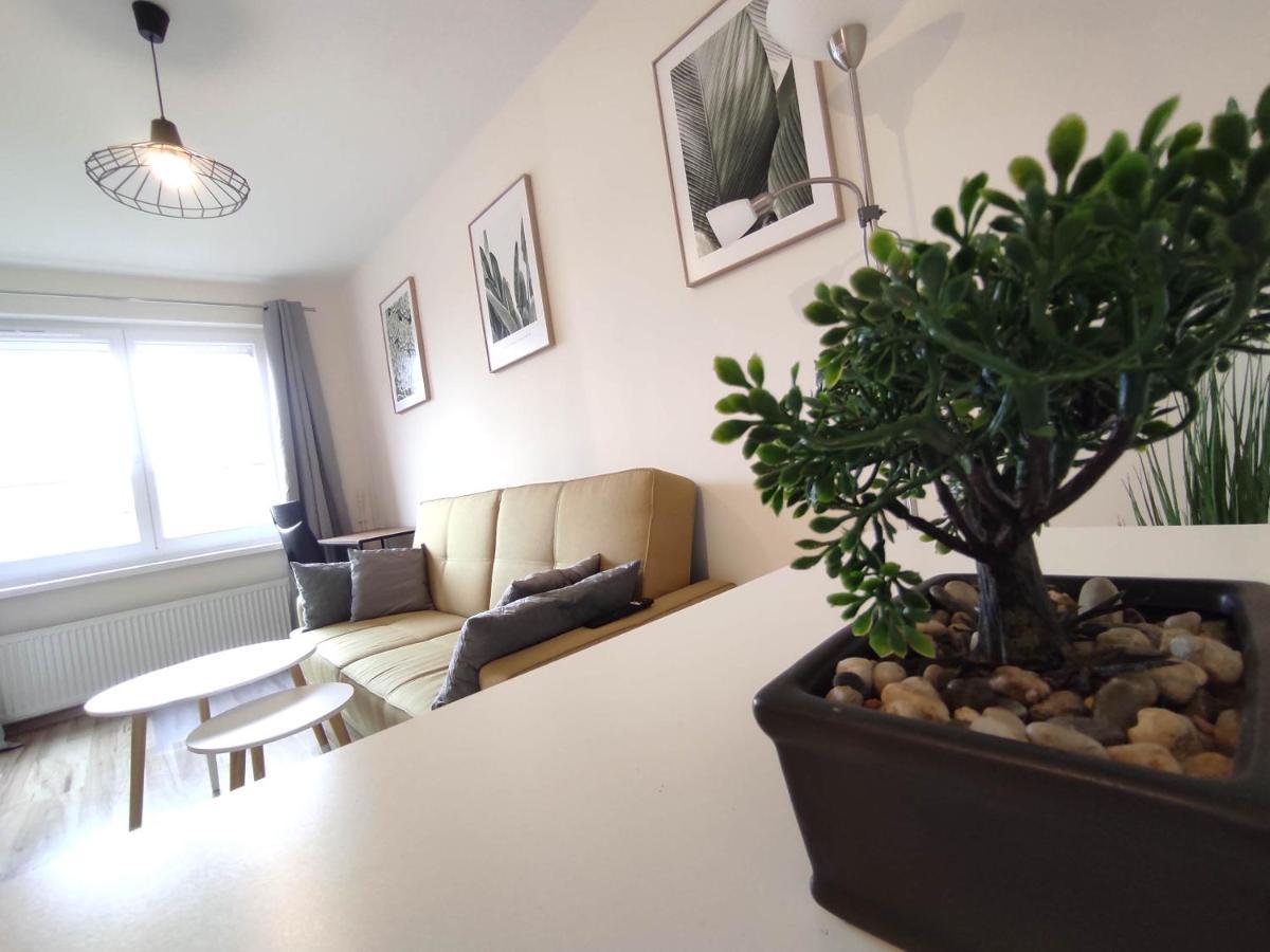 ***casablanca Apartament*** - 40m² ✓
