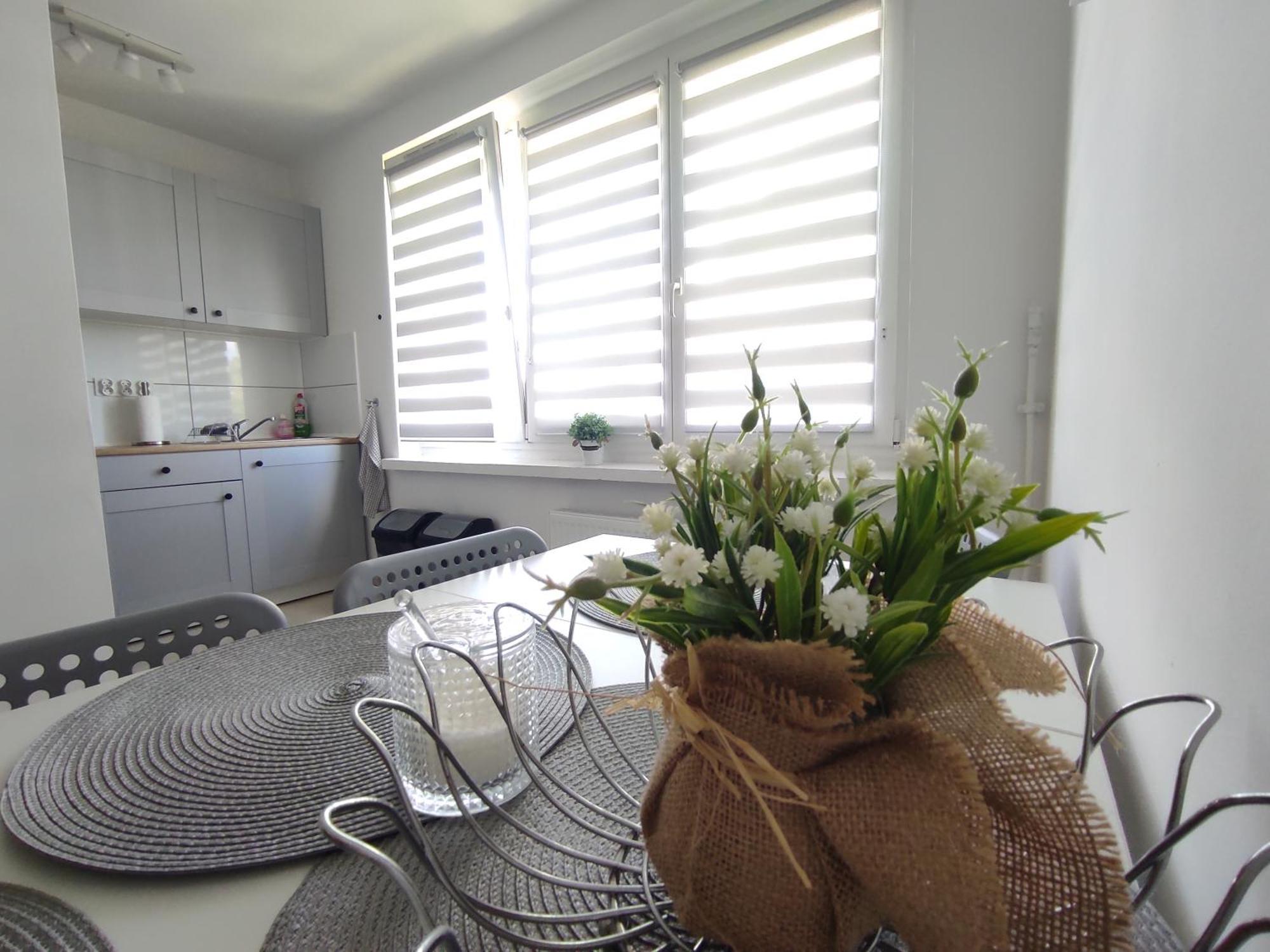 Apartment ***casablanca Apartament*** - 40m² ✓ Rybnik (Silesia)